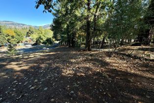 Residential Lot,  Brush Creek road, Santa Rosa, CA 95404 - 11