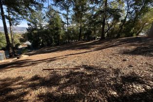 Residential Lot,  Brush Creek road, Santa Rosa, CA 95404 - 23