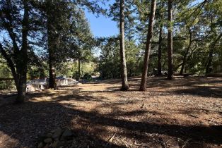 Residential Lot,  Brush Creek road, Santa Rosa, CA 95404 - 20