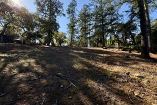 Residential Lot,  Brush Creek road, Santa Rosa, CA 95404 - 34