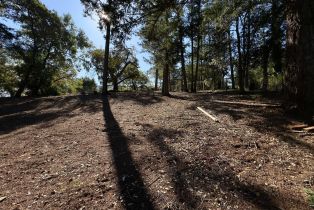 Residential Lot,  Brush Creek road, Santa Rosa, CA 95404 - 30