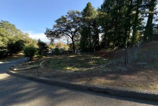 Residential Lot,  Brush Creek road, Santa Rosa, CA 95404 - 6