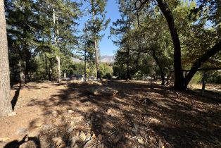 Residential Lot,  Brush Creek road, Santa Rosa, CA 95404 - 15