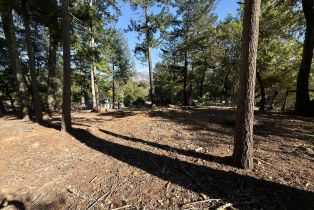 Residential Lot,  Brush Creek road, Santa Rosa, CA 95404 - 17