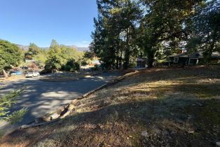 Residential Lot,  Brush Creek road, Santa Rosa, CA 95404 - 37