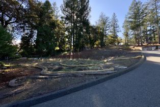 Residential Lot,  Brush Creek road, Santa Rosa, CA 95404 - 3