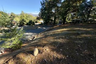 Residential Lot,  Brush Creek road, Santa Rosa, CA 95404 - 33