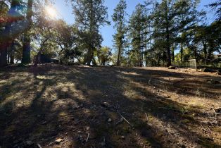 Residential Lot,  Brush Creek road, Santa Rosa, CA 95404 - 35