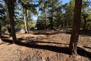 Residential Lot,  Brush Creek road, Santa Rosa, CA 95404 - 19