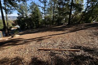 Residential Lot,  Brush Creek road, Santa Rosa, CA 95404 - 25