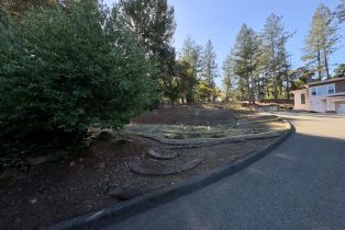 Residential Lot,  Brush Creek road, Santa Rosa, CA 95404 - 40