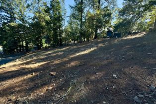 Residential Lot,  Brush Creek road, Santa Rosa, CA 95404 - 31