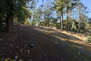 Residential Lot,  Brush Creek road, Santa Rosa, CA 95404 - 9