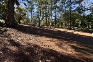 Residential Lot,  Brush Creek road, Santa Rosa, CA 95404 - 12