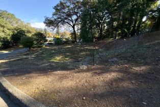 Residential Lot,  Brush Creek road, Santa Rosa, CA 95404 - 43