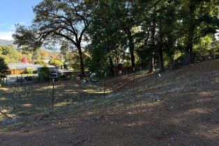 Residential Lot,  Brush Creek road, Santa Rosa, CA 95404 - 41