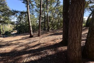 Residential Lot,  Brush Creek road, Santa Rosa, CA 95404 - 21