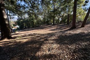 Residential Lot,  Brush Creek road, Santa Rosa, CA 95404 - 22