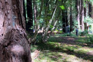 Residential Acreage,  Cazadero highway, Russian River, CA 95421 - 2