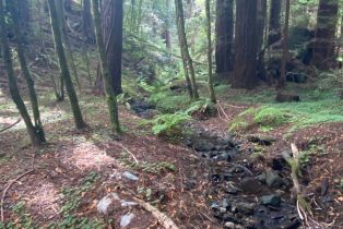 Residential Acreage,  Cazadero highway, Russian River, CA 95421 - 6