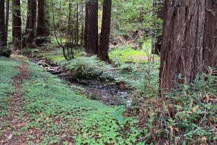 Residential Acreage,  Cazadero highway, Russian River, CA 95421 - 4