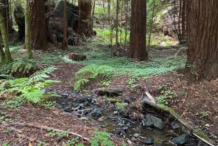 Land, 1545 Cazadero Hwy, Russian River, CA  Russian River, CA 95421