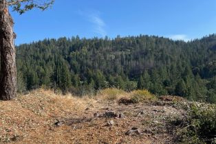 Residential Acreage,  Diamond Mountain road, Calistoga, CA 94515 - 5