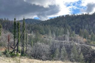 Residential Acreage,  Diamond Mountain road, Calistoga, CA 94515 - 4