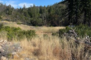 Residential Acreage,  Diamond Mountain road, Calistoga, CA 94515 - 2