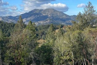 Land, 1635 Diamond Mountain Rd, Calistoga, CA  Calistoga, CA 94515