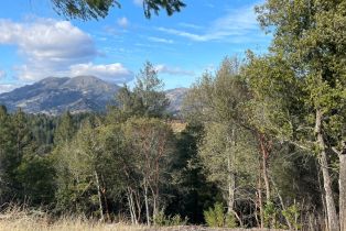 Residential Acreage,  Diamond Mountain road, Calistoga, CA 94515 - 14