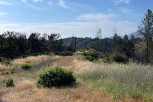 Residential Acreage,  Diamond Mountain road, Calistoga, CA 94515 - 3