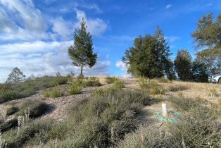 Residential Acreage,  Diamond Mountain road, Calistoga, CA 94515 - 10