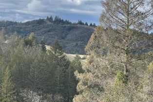 Residential Acreage,  Diamond Mountain road, Calistoga, CA 94515 - 6