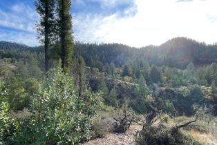 Residential Acreage,  Diamond Mountain road, Calistoga, CA 94515 - 13