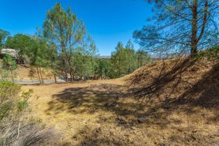 Residential Lot,  Steele Canyon road, Napa, CA 94558 - 11