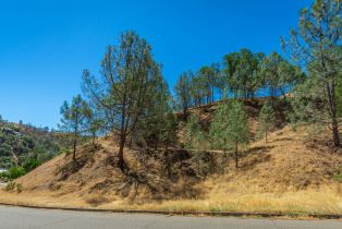 Residential Lot,  Steele Canyon road, Napa, CA 94558 - 3