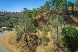 Residential Lot,  Steele Canyon road, Napa, CA 94558 - 17