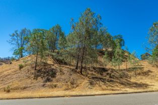 Residential Lot,  Steele Canyon road, Napa, CA 94558 - 6