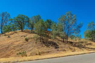 Residential Lot,  Steele Canyon road, Napa, CA 94558 - 7