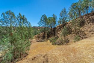 Residential Lot,  Steele Canyon road, Napa, CA 94558 - 14