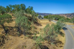 Residential Lot,  Steele Canyon road, Napa, CA 94558 - 20