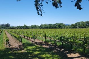 Agriculture,  River road, Windsor, CA 95492 - 2