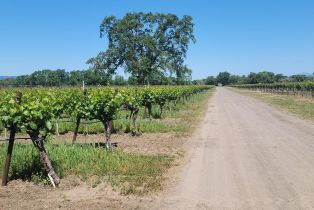 Agriculture,  River road, Windsor, CA 95492 - 5