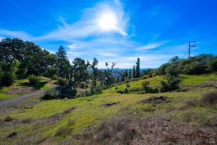 Residential Lot,  Wikiup drive, Santa Rosa, CA 95403 - 11