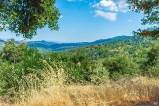 Residential Acreage,  Wall road, Napa, CA 94558 - 12