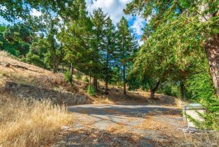 Residential Acreage,  Wall road, Napa, CA 94558 - 14