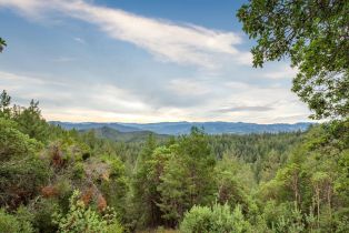 Single Family Residence,  Mcnair road, Cloverdale, CA 95425 - 49