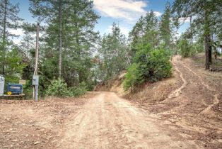 Single Family Residence,  Mcnair road, Cloverdale, CA 95425 - 43