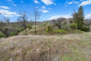 Residential Lot,  Live Oak lane, Napa, CA 94558 - 10